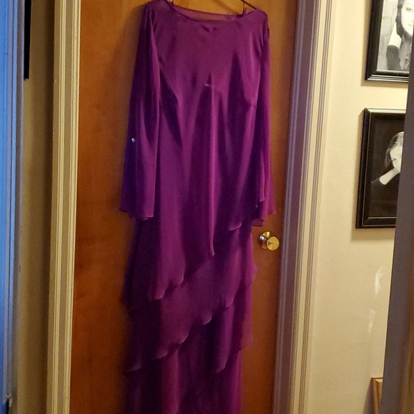 Beautiful Raspberry colored Gown - Picture 4 of 4